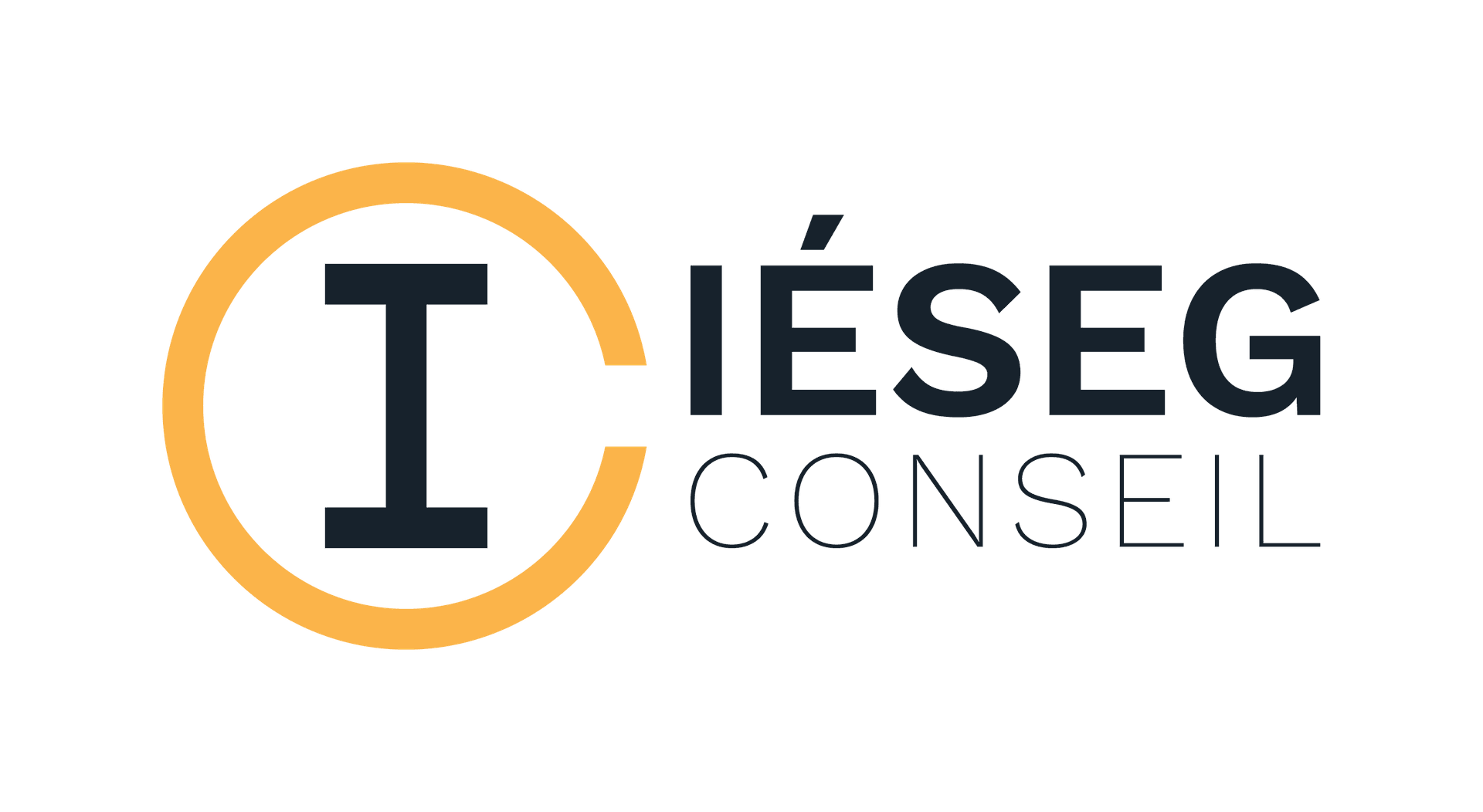 IESEG Conseil Paris